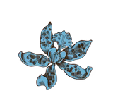 𝓒𝓸𝓷𝓬𝓲𝓸𝓾𝓼  𝓪𝓻𝓽